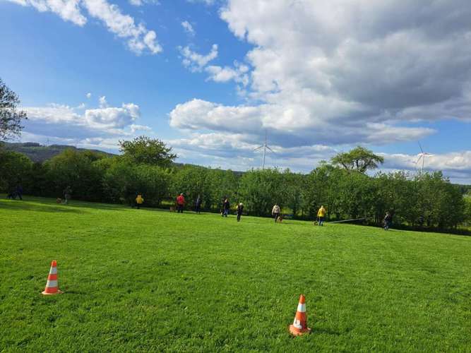 Hundeauslaufgebiet-Hundeschule Berthold Küttner-Bild