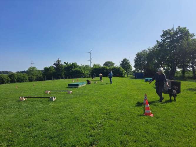 Hundeauslaufgebiet-Hundeschule Berthold Küttner-Bild