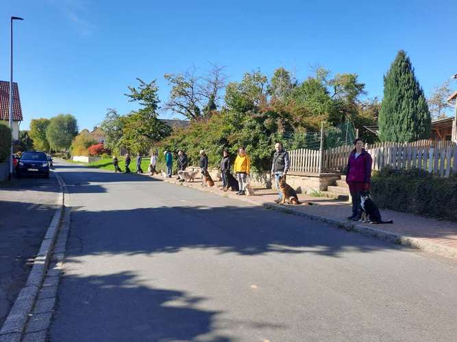 Hundeauslaufgebiet-Hundeschule Berthold Küttner-Bild