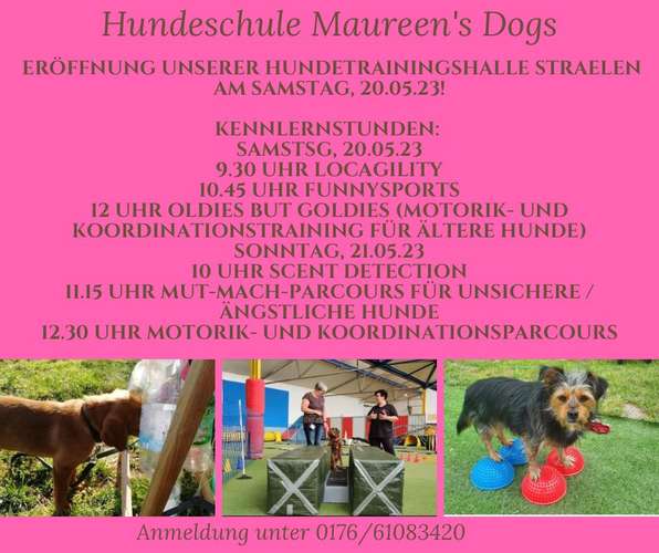 Hundeauslaufgebiet-Hundeschule Maureen‘s Dogs-Bild