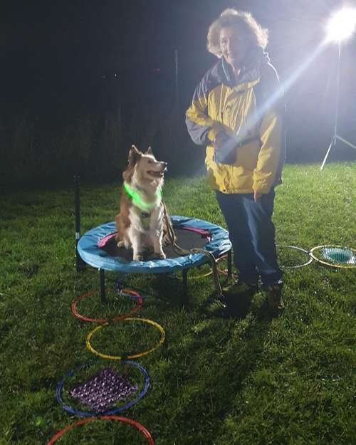 Hundeauslaufgebiet-Hundeschule Maureen‘s Dogs-Bild