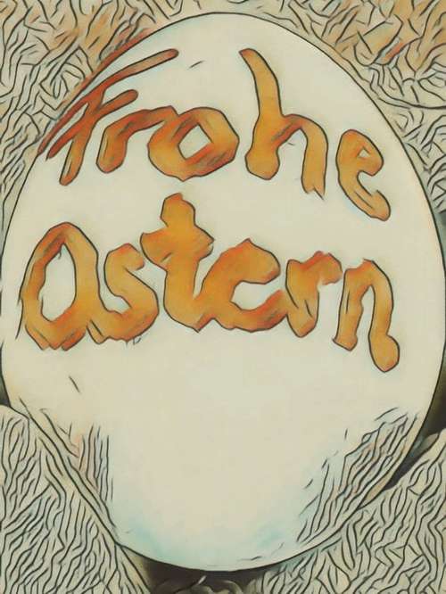 Hundeauslaufgebiet-Hundeschule Maureen‘s Dogs-Bild