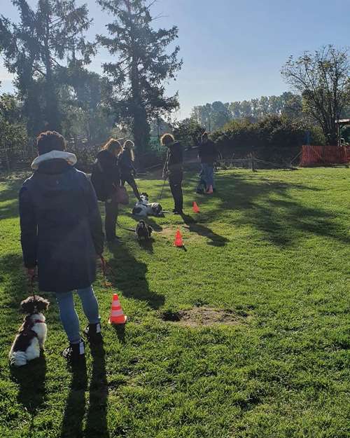 Hundeauslaufgebiet-Hundeschule Maureen‘s Dogs-Bild