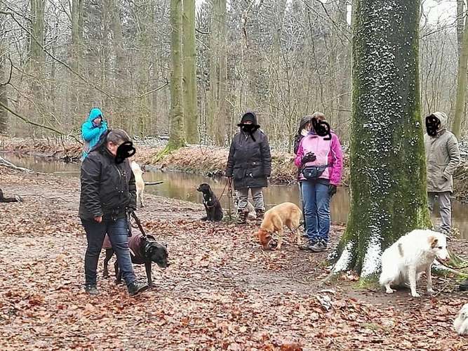 Hundeauslaufgebiet-Hundeschule Maureen‘s Dogs-Bild
