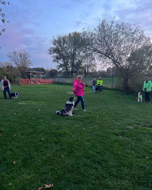 Hundeauslaufgebiet-Hundeschule Maureen‘s Dogs-Bild