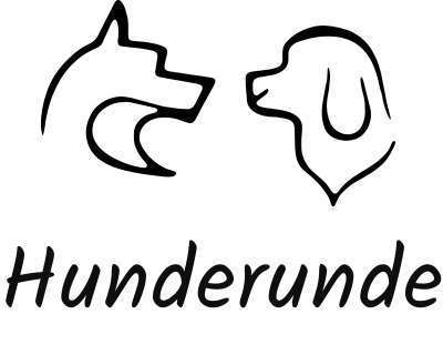 tests-Hunderunde-Bild