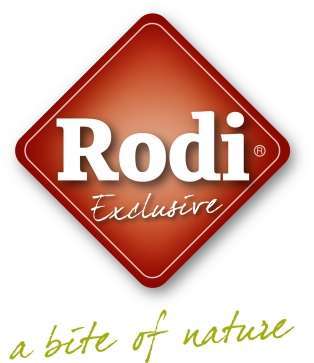 tests-Rodi-Bild