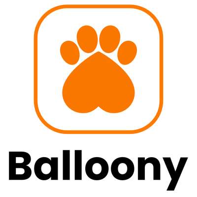 tests-Balloony-Bild