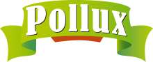 tests-Pollux-Bild