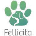 tests-Fellicita-Bild
