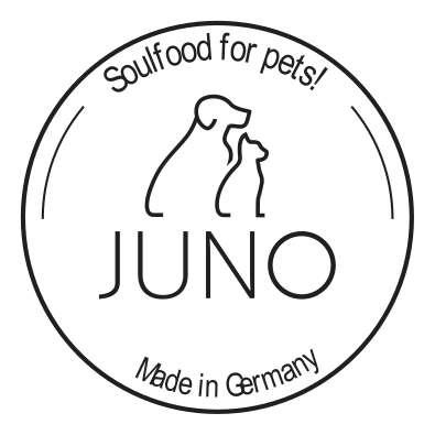 tests-JUNO-Bild