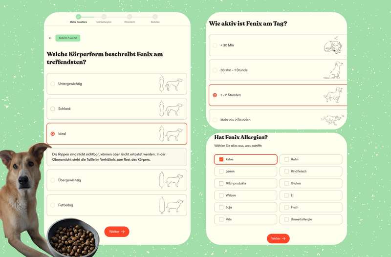 Collage aus Bestellprozess bei Just Russel