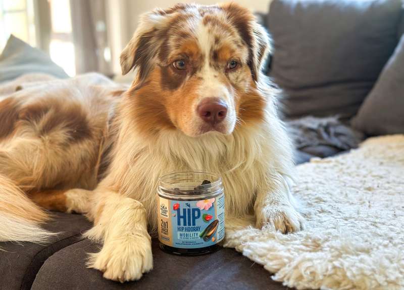 Luki mit dem MOBILITY Snack