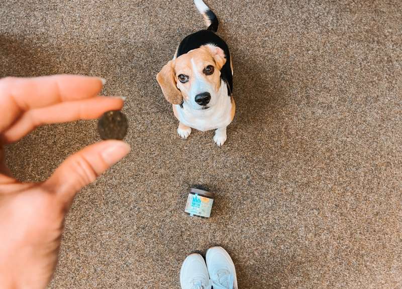 Emma mit dem BELLY Snack