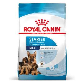 tests-Royal Canin MAXI Starter-Bild