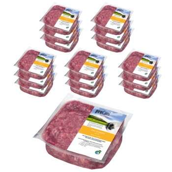 Produkt Test Titelbild