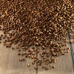 Produkt Test Titelbild