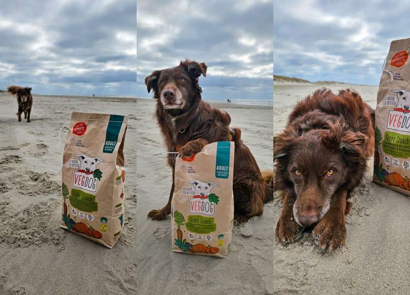 Drei Bilder von Dori mit dem Green Crunch Trockenfutter von VEGDOG
