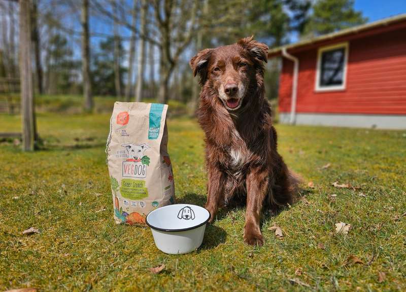 Dori sitzt mit VEGDOG Green Crunch Trockenfutter vor rotem Haus 