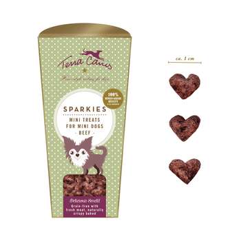 Produkt Test Titelbild