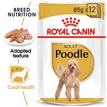 tests-Royal Canin Poodle Adult in Soße Hundefutter nass für Pudel-Bild