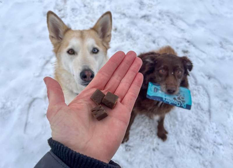 Dori und Kaya im Hintergrund, der Trainee Snack Cultivated Protein in der Hand