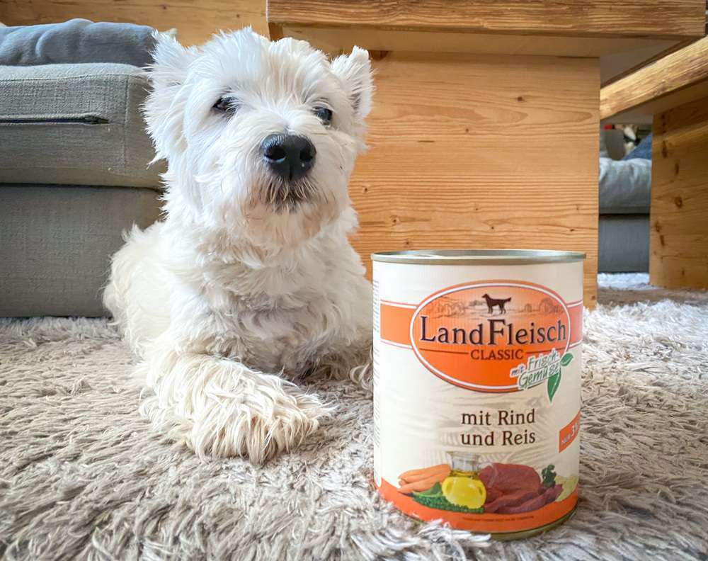 LandFleisch Classic Hundefutter mit Rind und Reis - Erfahrungen mit dem Nassfutter