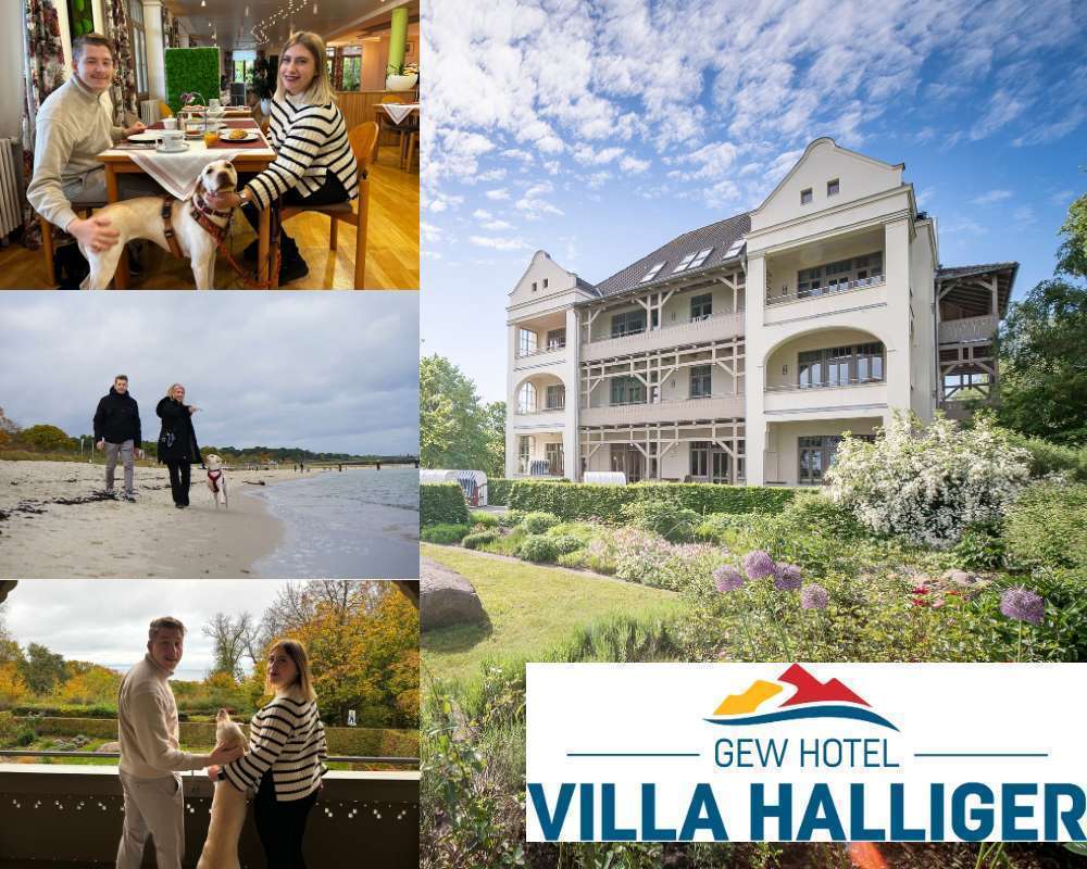 tests-Hundefreundliches Boutique-Hotel mit Meerblick & Hundestrandnähe auf Rügen zum Wohlfühlen: Villa Halliger von GEW Ferien überzeugt im Praxistest 🏖️🐶-Bild
