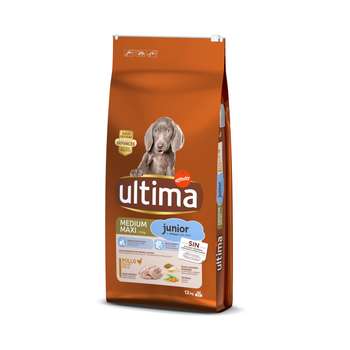 tests-Ultima Medium / Maxi Junior Huhn-Bild