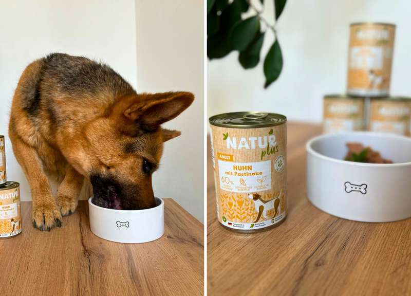 zwei Bilder von Bella mit dem NATURplus NF