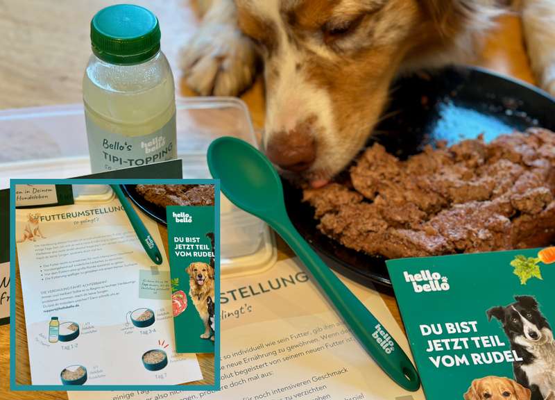 Luki mit dem HelloBello Futter und Fütterungsplan