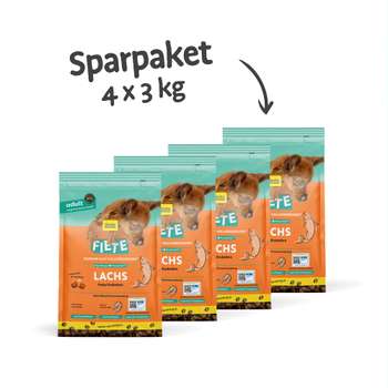 Produkt Test Titelbild