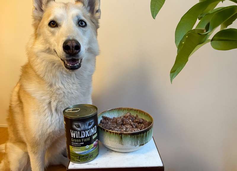 WILDKIND GreenField im Napf, mit Kaya