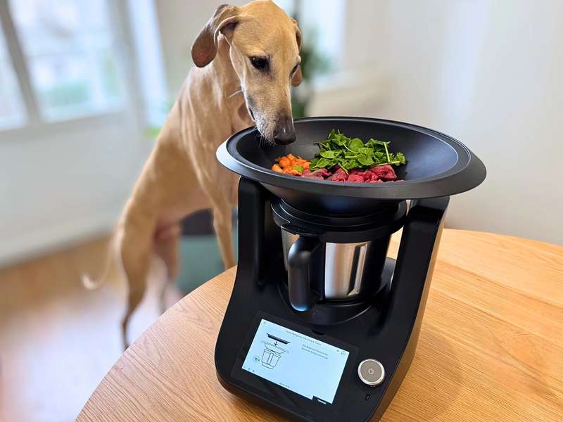 Hund schnuppert am CookA in dem frisches Fleisch und Gem&uuml;se schonend ged&uuml;nstet wird