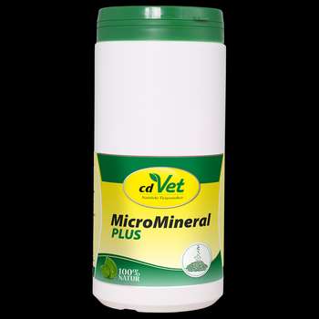 Produkt Test Titelbild