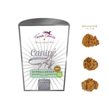 Produkt Test Titelbild