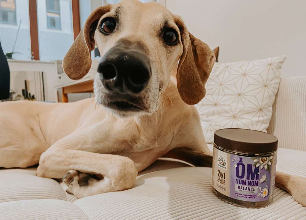 tests-Futtertest: Wildes Land BALANCE 2in1 Snack mit Benefit – Ruhe & Entspannung | Dogorama Bewertung inklusive Community und Tierarzt Feedback -Bild