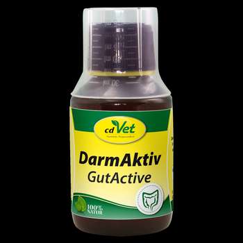 Produkt Test Titelbild