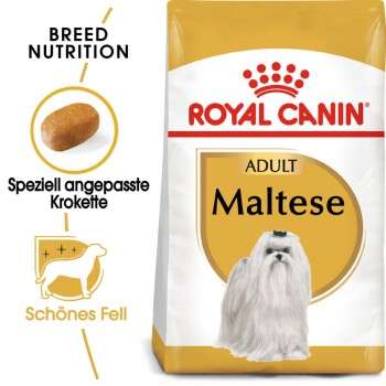 tests-Royal Canin Maltese Adult-Bild