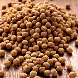 Produkt Test Titelbild