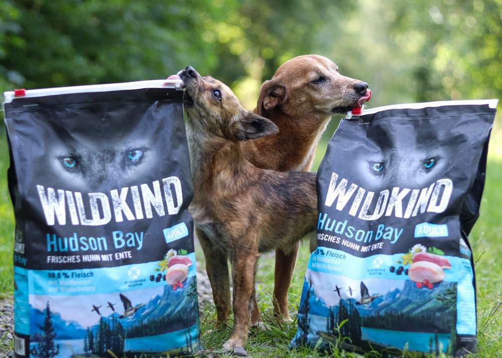 tests-Im Test: WILDKIND Adult Hudson Bay Huhn mit Ente | Dogorama Bewertung mit Tierärztin und Community-Bild