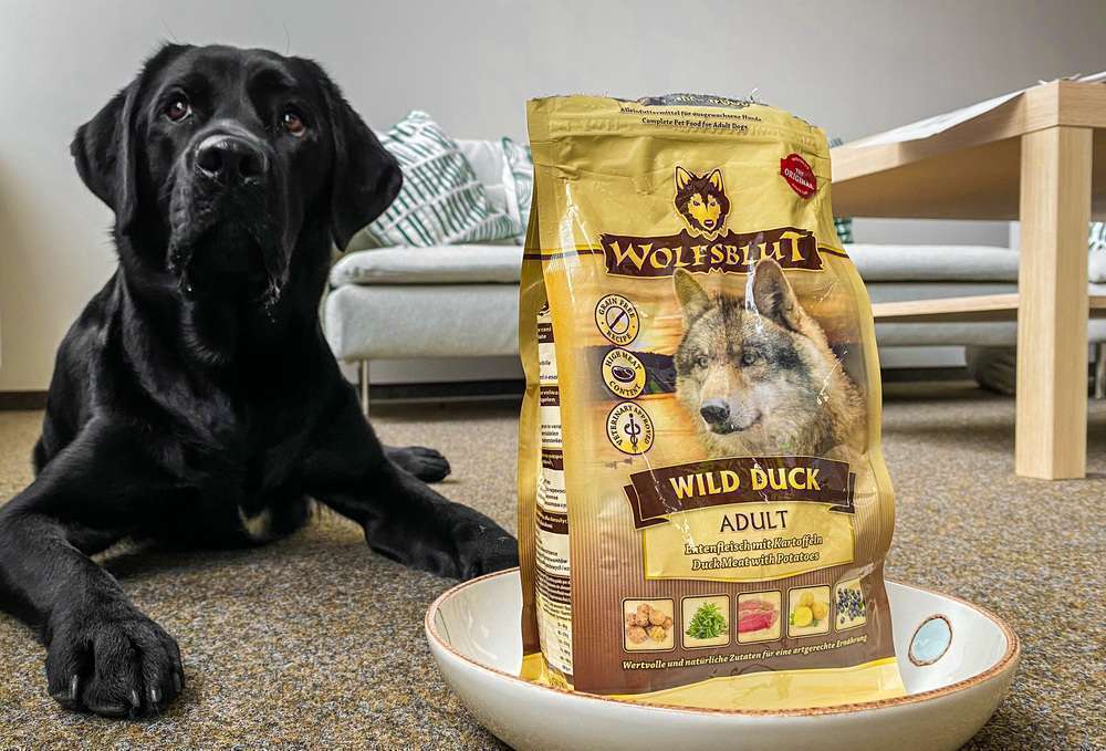 tests-Ist Wolfsblut Wild Duck wirklich ein gutes Trockenfutter für Hunde?-Bild