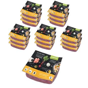 Produkt Test Titelbild