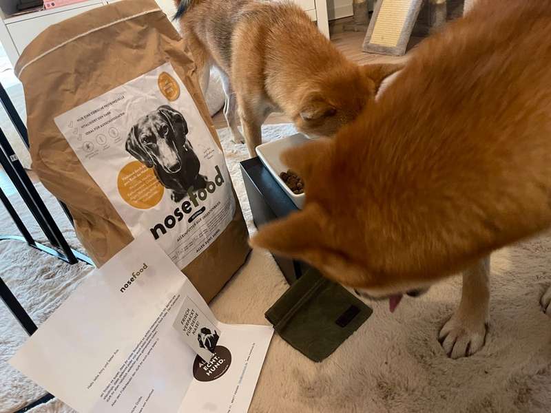 Jack, Ace und Amy mit dem nosefood Futter