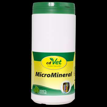 Produkt Test Titelbild