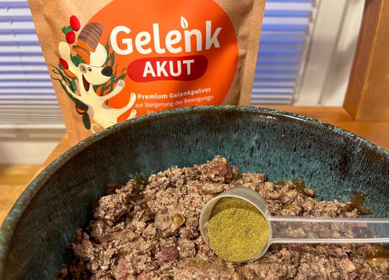 GelenkAkut Pulver auf Messlöffel über Nassfutterschale