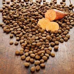 Produkt Test Titelbild