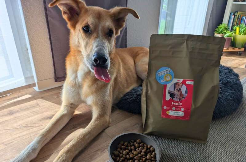 Bild von Fénix mit dem Just Russel Trockenfutter