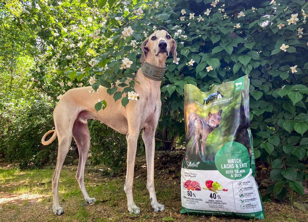Tundra Hirsch, Ente & Lachs im Test: Getreidefreies Hundefutter mit niedrigem glykämischem Index | Erfahrungen und Bewertungen