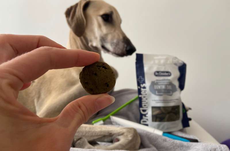 Nadir mit dem Dental Care Snack von Dr.Clauder&lsquo;s